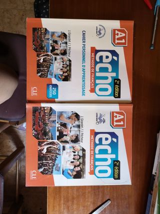 Francés fácil para bachillerato
